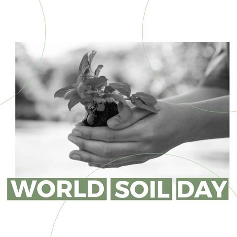 Celebrating World Soil Day with Sustainability and Growth