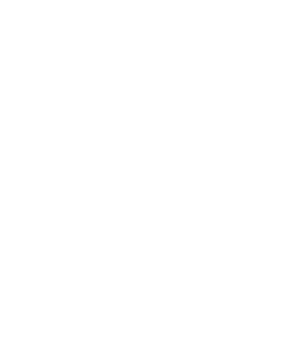 Silhouette of Man Exercising with Sports Bottle on Transparent Background