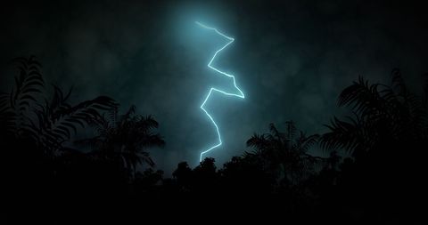 Striking lightning bolt illuminates palm trees and stormy sky