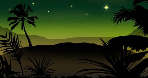 Silhouetted Palm Trees Against Starry Night Sky with Green Horizon - Download Free Stock Images Pikwizard.com