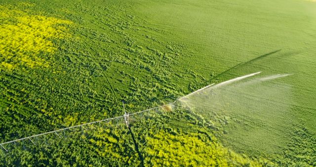 Aerial View of Agricultural Irrigation System Watering Green Crop Field - Download Free Stock Images Pikwizard.com