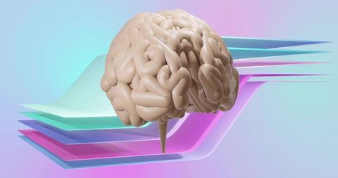 Floating stylized brain over pastel panels, glossy 3D neuroscience concept for modern tech