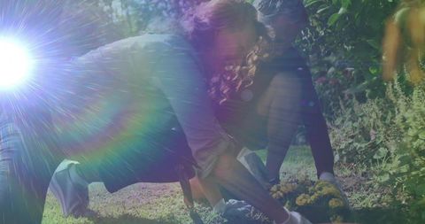 Sunlit couple planting flowers in backyard garden