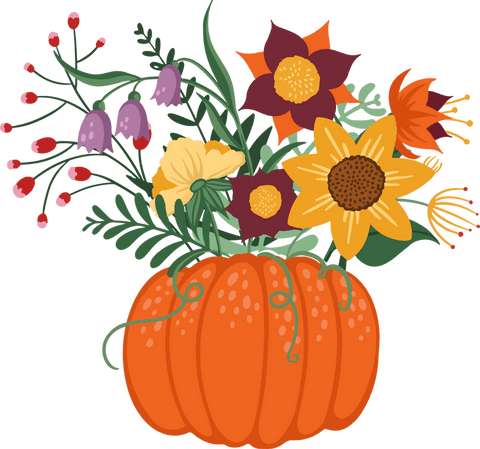 autumn sunflower display emerging from flat-style pumpkin illustration on transparent background - Download Free Stock Videos Pikwizard.com