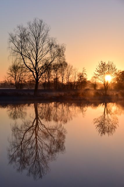 This image features a serene sunrise over a calm lake, with the reflections of bare trees mirrored in the still water. Ideal for nature-related content, meditation or relaxation themes, and backgrounds for inspirational or seasonal projects.
