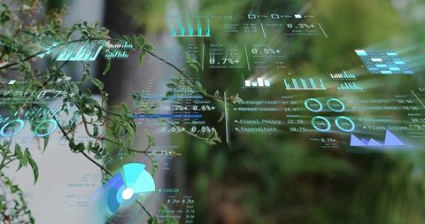 Augmented reality finance dashboards hovering over leafy branch in eco greenhouse