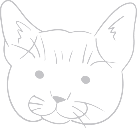 minimalist cat head line drawing on transparent background - Download Free Stock Videos Pikwizard.com
