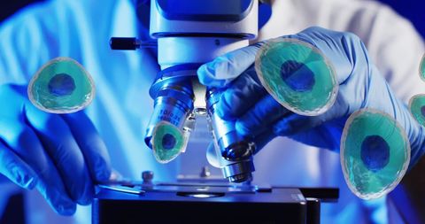 Scientist Analyzing Under Microscope with White Blood Cell Illustration - Download Free Stock Images Pikwizard.com