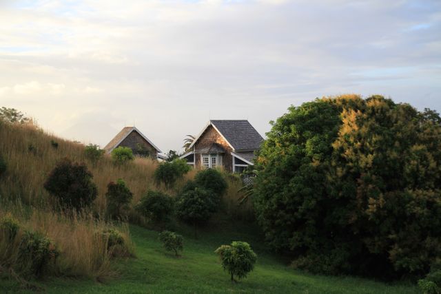 Picture featuring cozy cottages nestled among lush green hills and trees radiates tranquility and peace. Ideal for use in real estate advertisements, travel promotional materials, or nature-focused publications. Evokes a sense of serene rural living and rustic charm, appealing to audiences seeking a break from urban life.