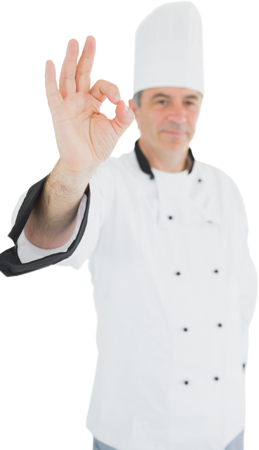 Professional Male Chef Giving OK Sign Gesturing Approval Transparent - Download Free Stock Videos Pikwizard.com