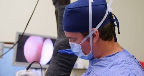 Veterinary surgeon performing horse examination in operating room