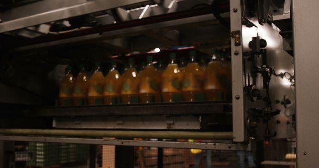 Machine loading bottles in industry