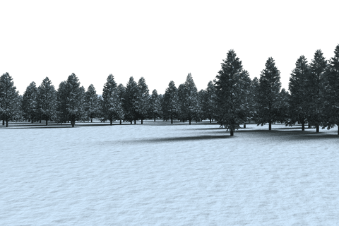 transparent coniferous forest on snowy field landscape - Download Free Stock Videos Pikwizard.com