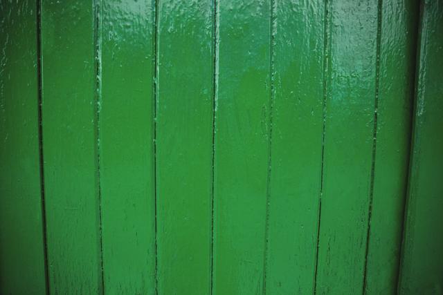 Green old door, background