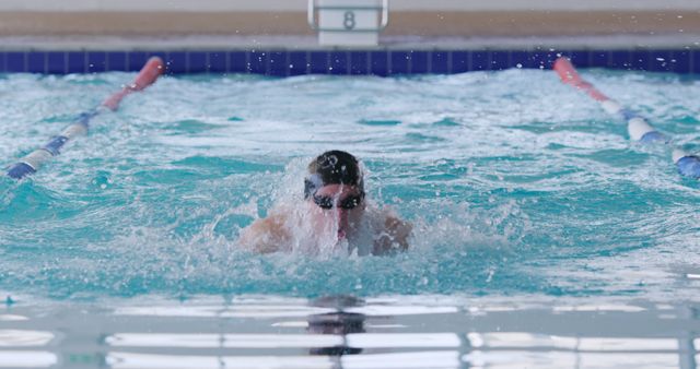 Male Swimmer Practicing Breaststroke in Indoor Pool - Download Free Stock Images Pikwizard.com