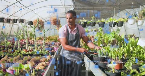 Gardener Tending Succulents and Tropical Potted Plants in Sunlit Greenhouse Bench
