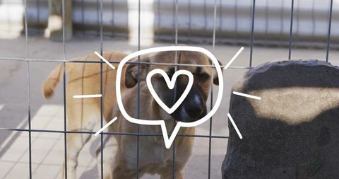 Lonely shelter dog in kennel with heart speech bubble