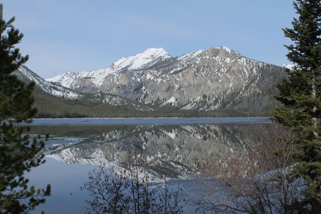 Snow-capped mountain reflected in a tranquil lake, surrounded by dense pine trees and bringing forth a scenic and serene wilderness atmosphere. Perfect for use in travel and adventure publications, nature documentaries, or websites promoting outdoor activities and nature retreats.