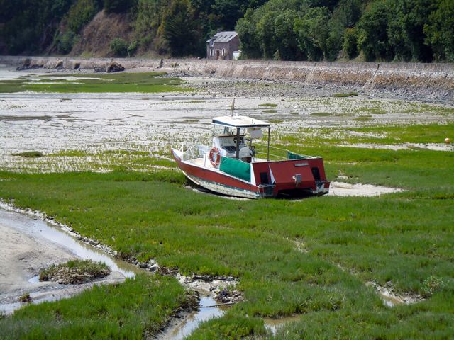 Fishing boat stranded on mudflat during low tide with nearby greenery. Useful for topics on marine life, environmental conditions, rural landscapes, travel guides, and adventurous explorations.