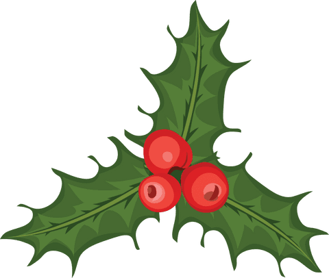 christmas holly decoration with red berries on transparent background - Download Free Stock Videos Pikwizard.com