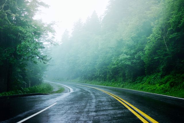 Foggy road winding through a misty forest with wet pavement. Ideal for travel blogs, nature documentaries, road safety educational materials, or serene background use. Captures a tranquil and mysterious atmosphere, making it suitable for themes of journey, exploration, and serenity.