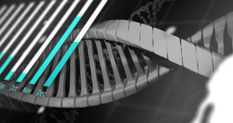 Digital Interface with DNA Strands and Graph Elements