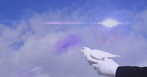 Celebratory release of white dove below bright fireworks