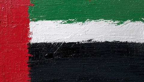 United arab emirates flag oil painting closeup textured impasto canvas brushwork detail
