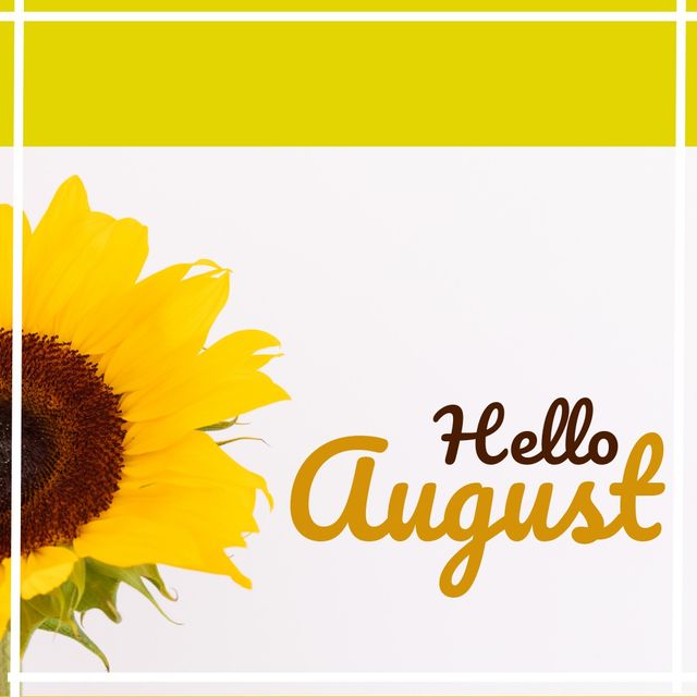 Digital composite of hello august text and sunflower against yellow and white background, copy space. flower, greeting, nature and summer concept.
