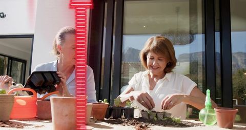 Two women planting seedlings on sunlit patio table potting terracotta planters gardening teamwork