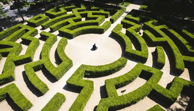 Solitary man sitting in sunlit circular hedge maze from overhead, green labyrinth
