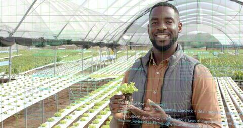 Hydroponic Expert Analyzing Lettuce Growth with Digital Insights