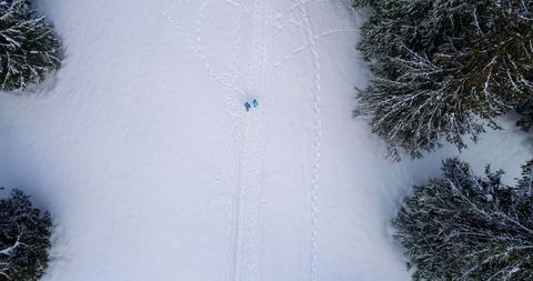 Couple Walking in Winter Wonderland Aerial View
