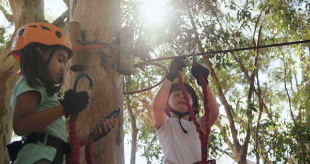 Children tackle a high ropes course with focus and determination, equipped with safety gear. - Download Free Stock Photos Pikwizard.com