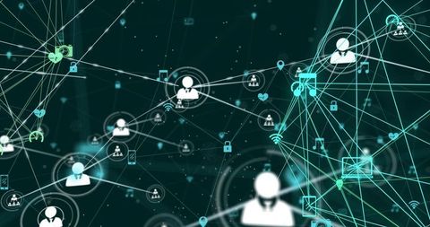 Connecting Avatars and Data Nodes Visualizing Digital Collaboration and Network Growth