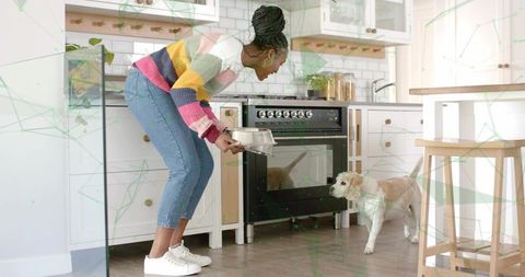 Woman feeding labrador puppy in modern kitchen lifestyle setting