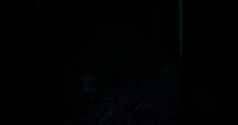 Tropical Palm Leaves with Neon Pink Light on Dark Background