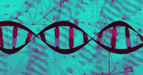 Digital DNA Strand with Data Connectivity Background - Download Free Stock Images Pikwizard.com