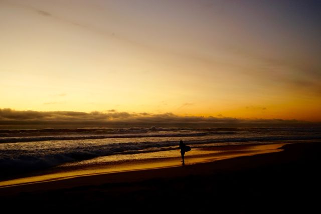 Silhouette of Surfer Standing on Beach during Sunset - Download Free Stock Photos Pikwizard.com