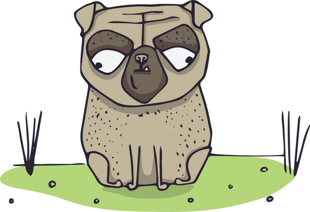 Digital Illustration of Grey Pug Dog on Transparent Background - Download Free Stock Videos Pikwizard.com