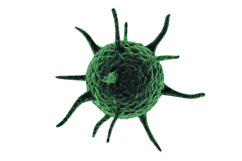 green cell illustration on transparent background for science projects - Download Free Stock Videos Pikwizard.com