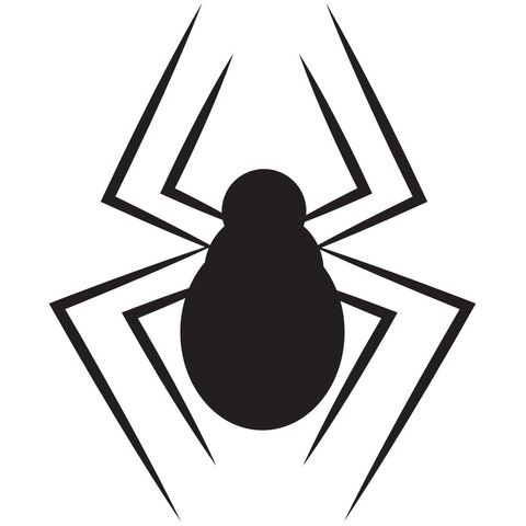 spider silhouette invoking mystery and intrigue - Download Free Stock Templates Pikwizard.com