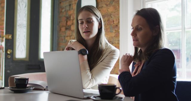 Two Businesswomen Collaborating on Laptop in Coffee Shop - Download Free Stock Images Pikwizard.com