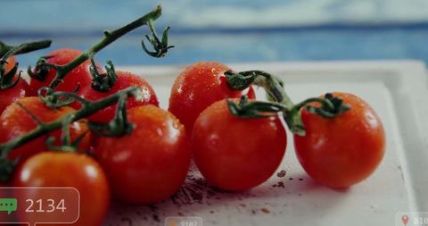 Vibrant vine tomatoes with water droplets against blue backdrop