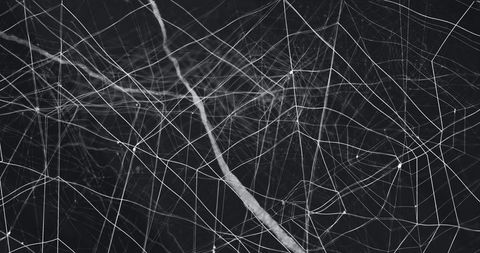 Intricate Spider Web with Geometric Patterns for Halloween - Download Free Stock Images Pikwizard.com