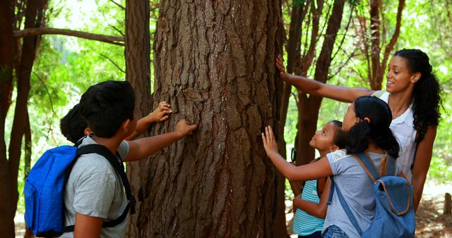 Children Exploring Nature with Teacher in Forest - Download Free Stock Images Pikwizard.com