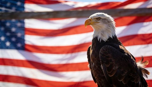 Perching bald eagle against waving american flag embodying patriotism and national pride