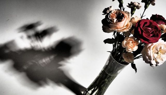 Clear glass vase holding mixed roses casting bold shadow on minimalist white tabletop