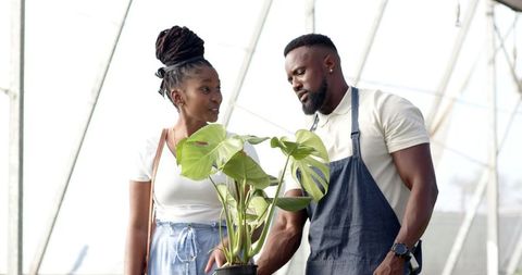 Customer and Nurseryman Discussing Monstera Plant in Greenhouse