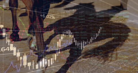 Digital Data Interface Overlay on Horse Images